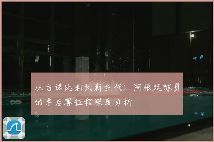 从吉诺比利到新生代：阿根廷球员的季后赛征程深度分析