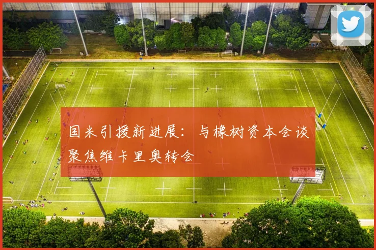 国米引援新进展：与橡树资本会谈聚焦维卡里奥转会