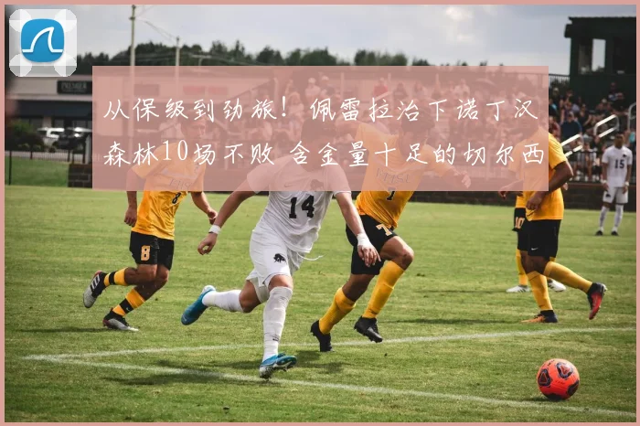 从保级到劲旅！佩雷拉治下诺丁汉森林10场不败 含金量十足的切尔西胜利
