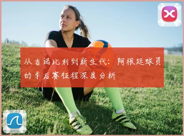 从吉诺比利到新生代:阿根廷球员的季后赛征程深度分析
