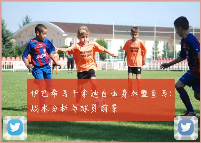 伊巴希马干拿迪自由身加盟皇马：战术分析与球员前景